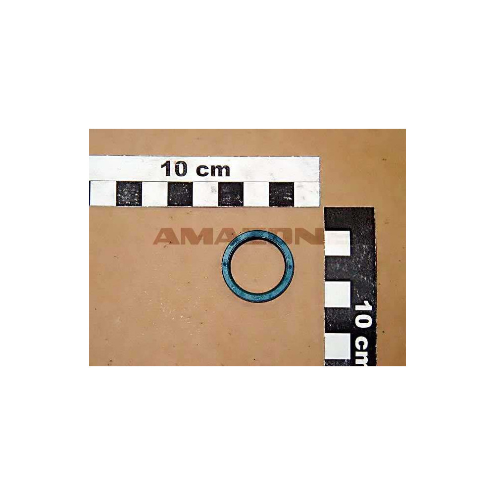 Joint 22X28X4 basl FA025 Amazone