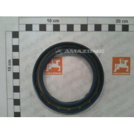 Bague A levres 3760AS75X FA061 Amazone