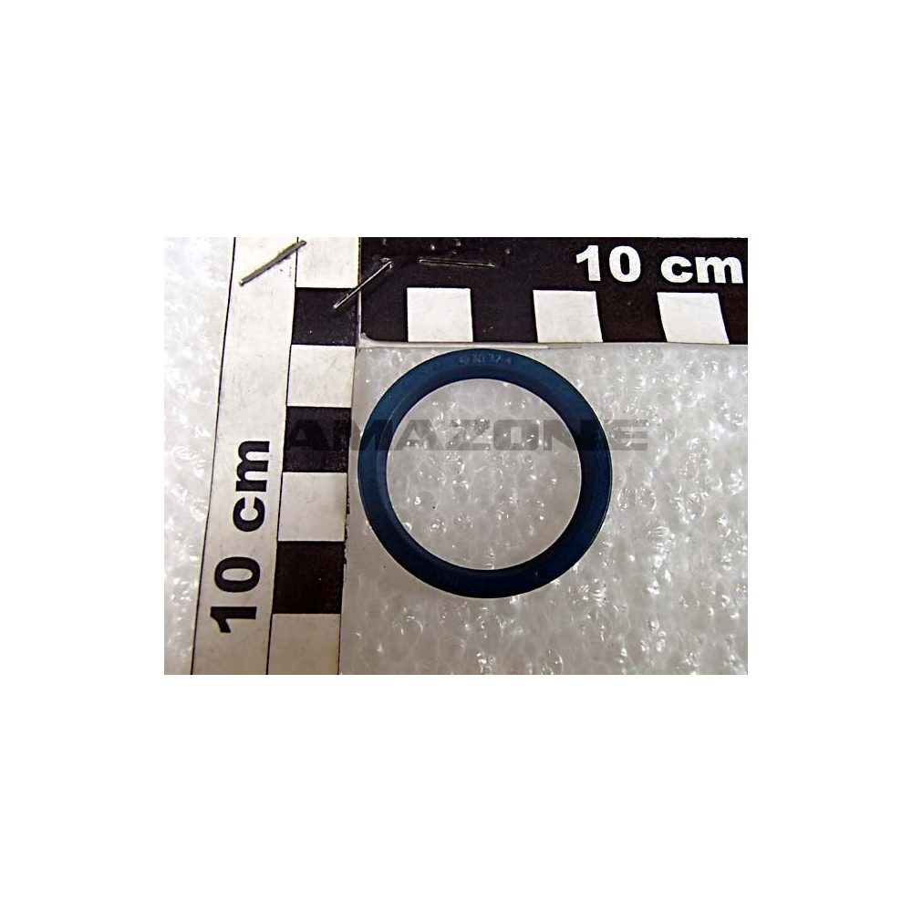Joint bague A levres FA100 Amazone
