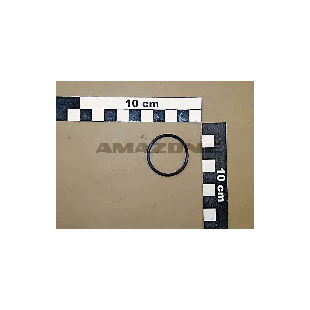 Joint tor. 30.3 X 2.4 NBR70 FC135 Amazone