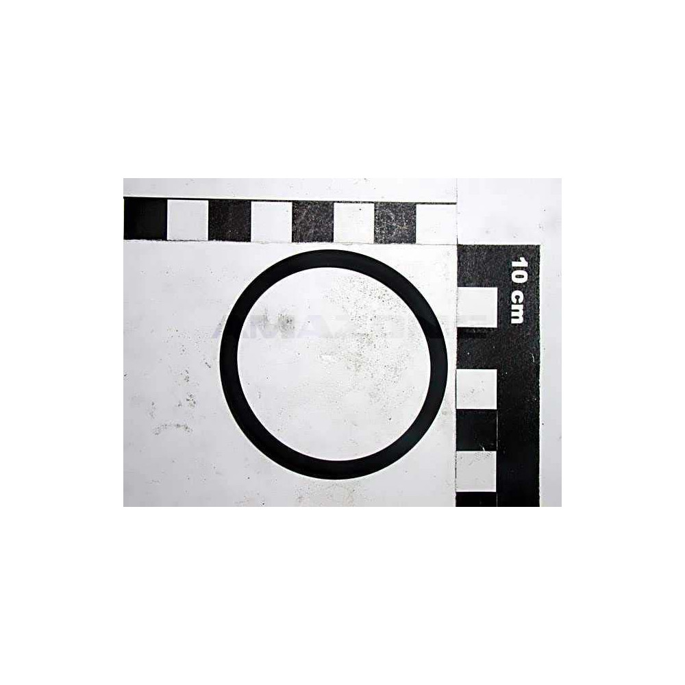 Joint torique 47 X 4 FKM 80 FC241 Amazone