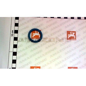 Joint 30x38x5.7 FC360 Amazone