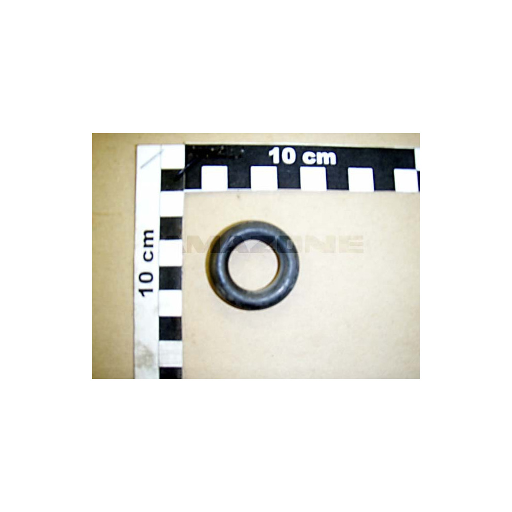 Joint torique 20 X 80 FC364 Amazone
