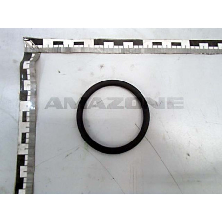 JOINT TOR. 58X6 UF Réf. FC413 AMAZONE JOINT TOR. 58X6 UF Réf. FC413 AMAZONE