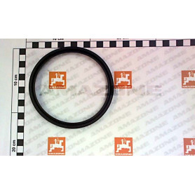 Collier DN_110 FC419 Amazone