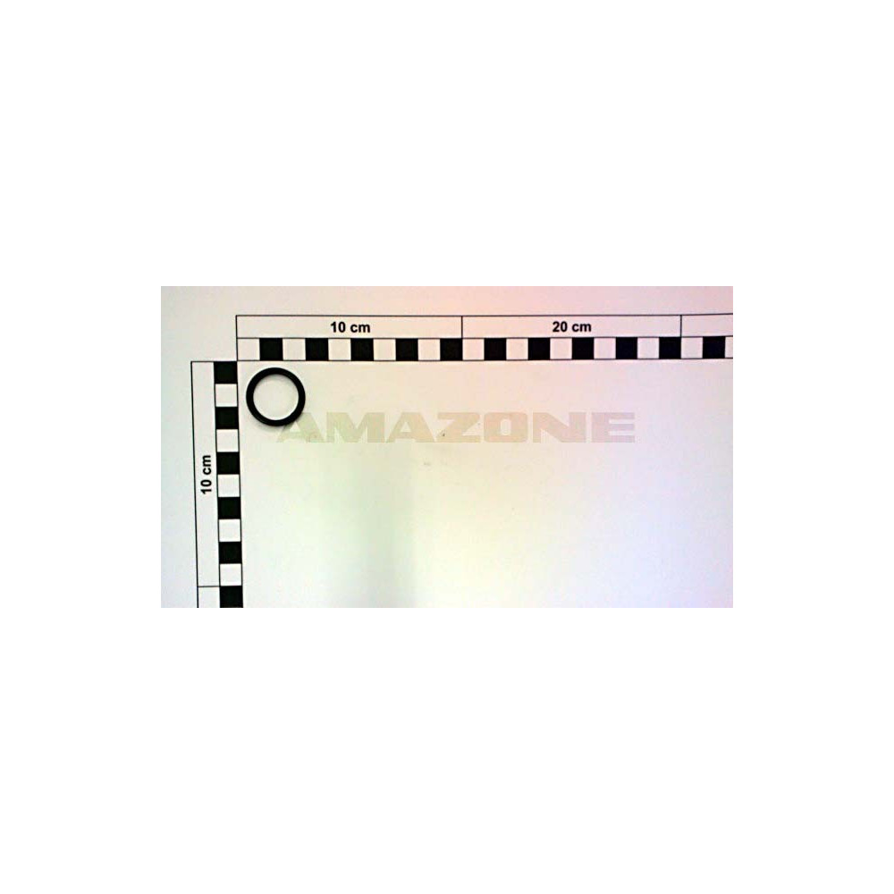 Joint 20,29X2,62 NBR 70 FC510 Amazone