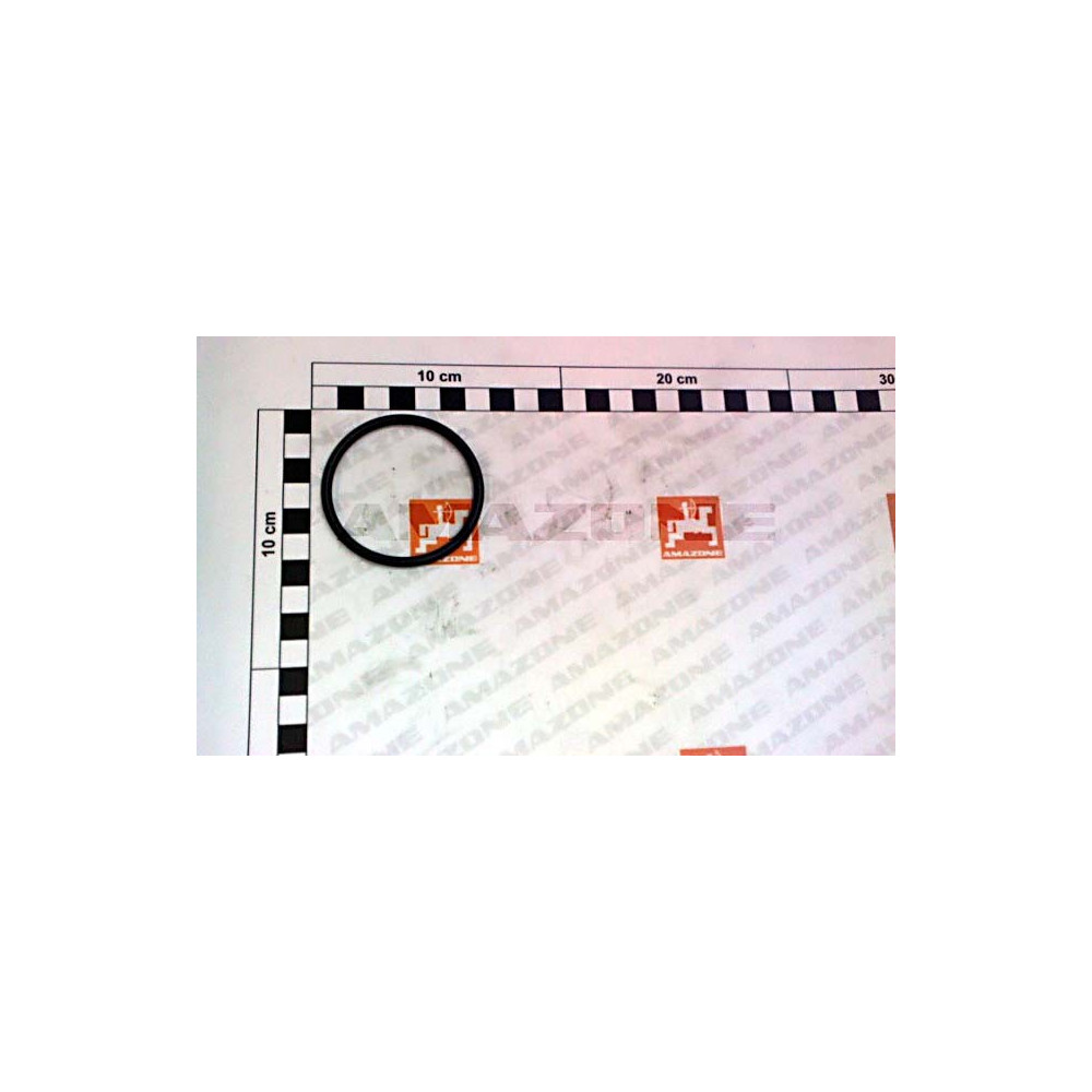 Joint tor. 54,00X4,00 FKM 70 FC578 Amazone