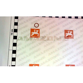 Joint 10x13.5x1 FF002 Amazone
