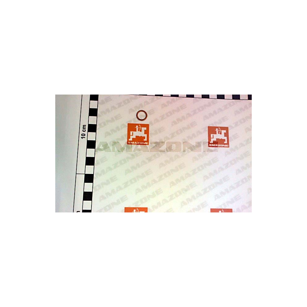 Joint 10x13.5x1 FF002 Amazone