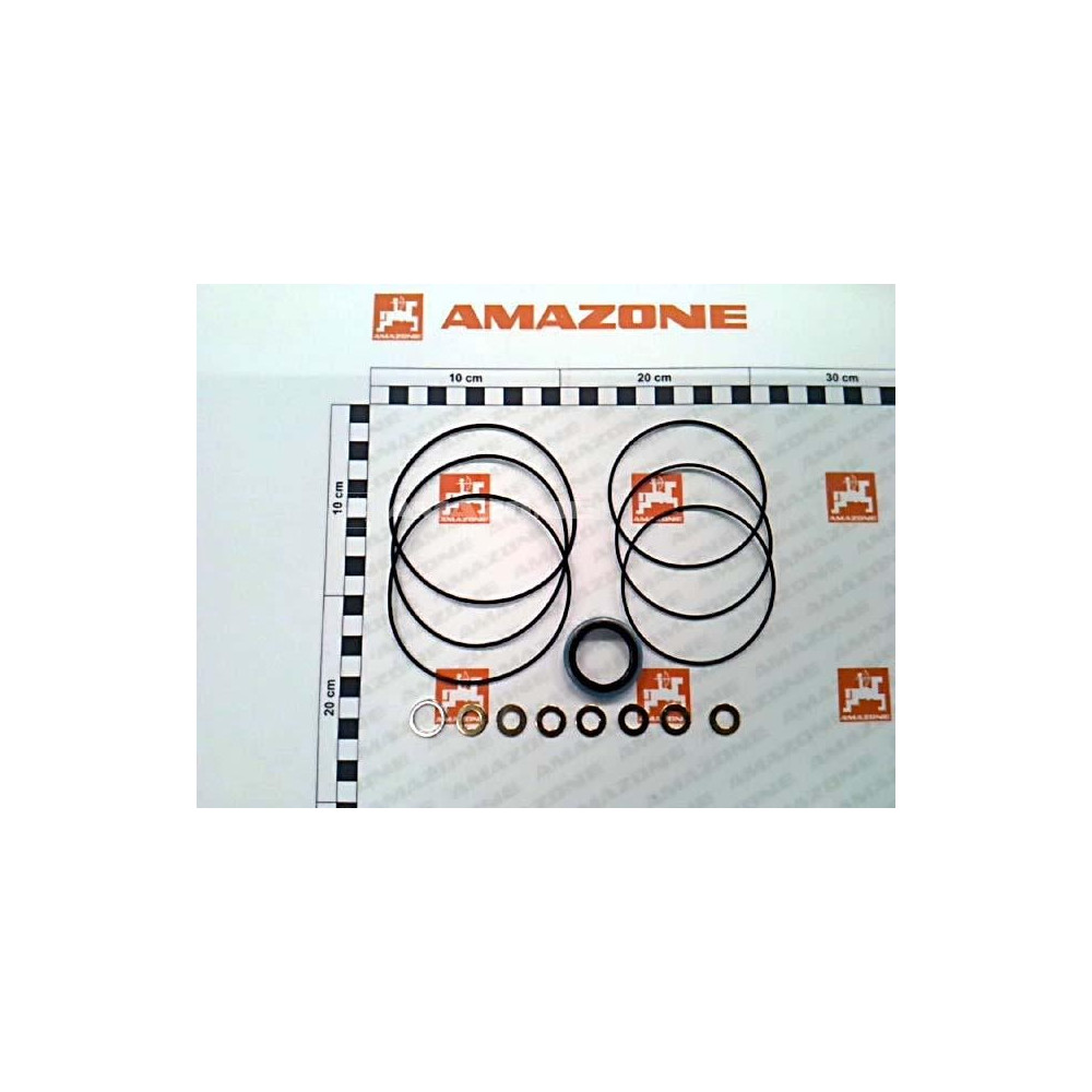 Jeu de joints moteur GF024 FE075 Amazone
