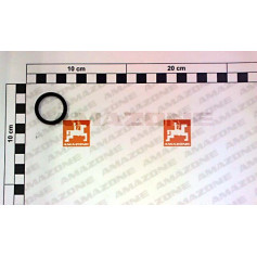 JOINT TOR.25X3.50 FKM80 UX Réf. FC365 AMAZONE JOINT TOR.25X3.50 FKM80 UX Réf. FC365 AMAZONE