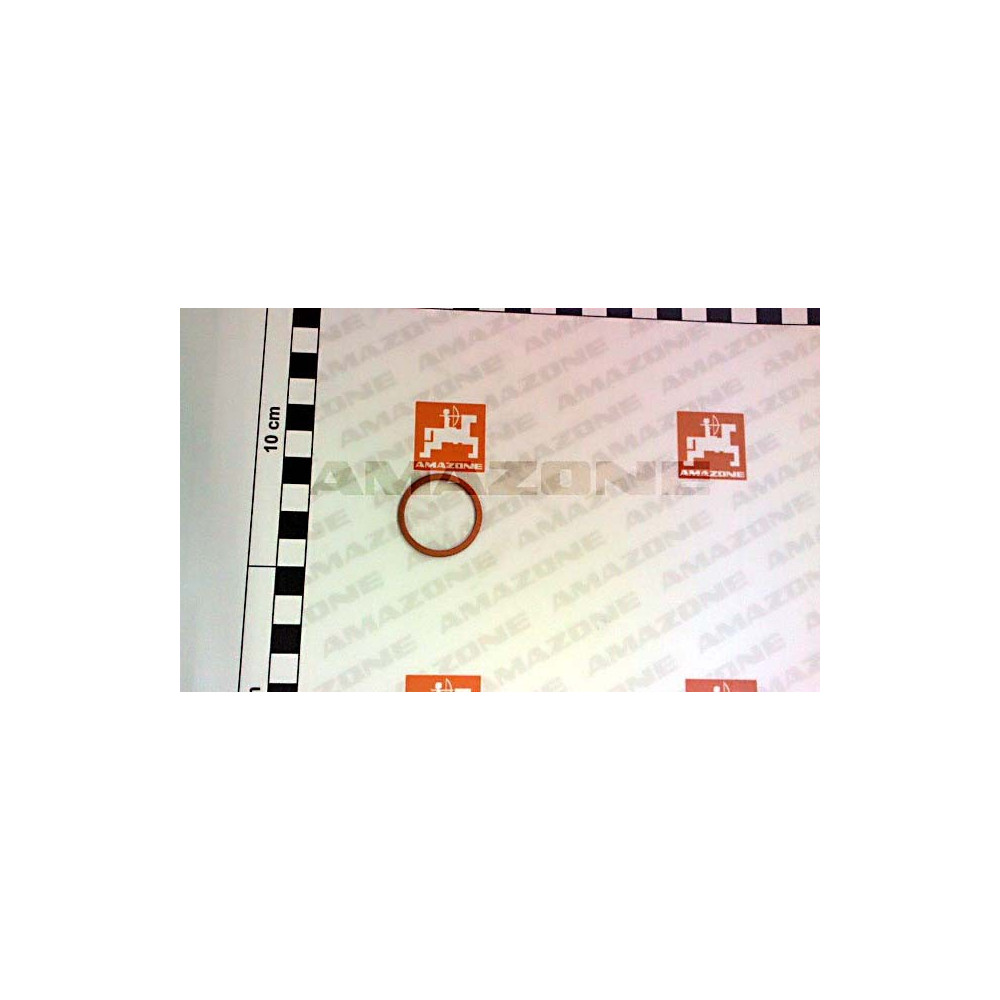 Joint 26X31 CU DIN 7603 FF031 Amazone