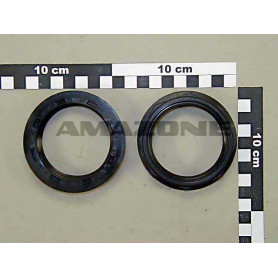 Ecrou 2 A rainure GE076 Amazone