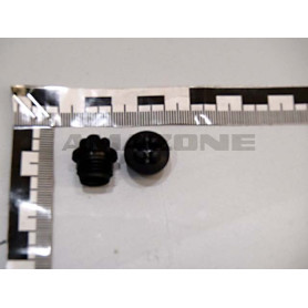 BOUCHON730 r1/4''' ID034 Amazone
