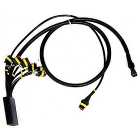 Faisceau amatron ED NL099 Amazone