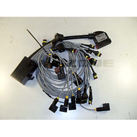 Faisceau basic amatron + _2013 NL569 Amazone