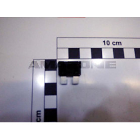 NM049 NM049 Amazone