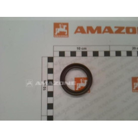 Joint SPY 40X55X6 pantera SF7250825 Amazone