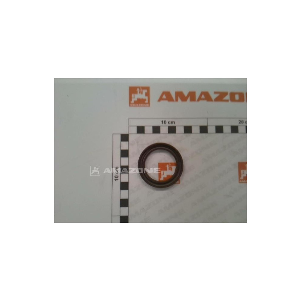 Joint SPY 40X55X6 pantera SF7250825 Amazone