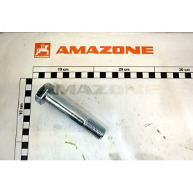 Vis 20 X 100 10.9 VN523853 Amazone
