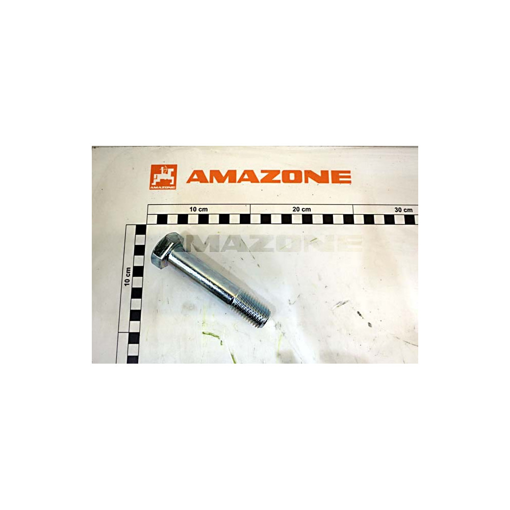 Vis 20 X 100 10.9 VN523853 Amazone