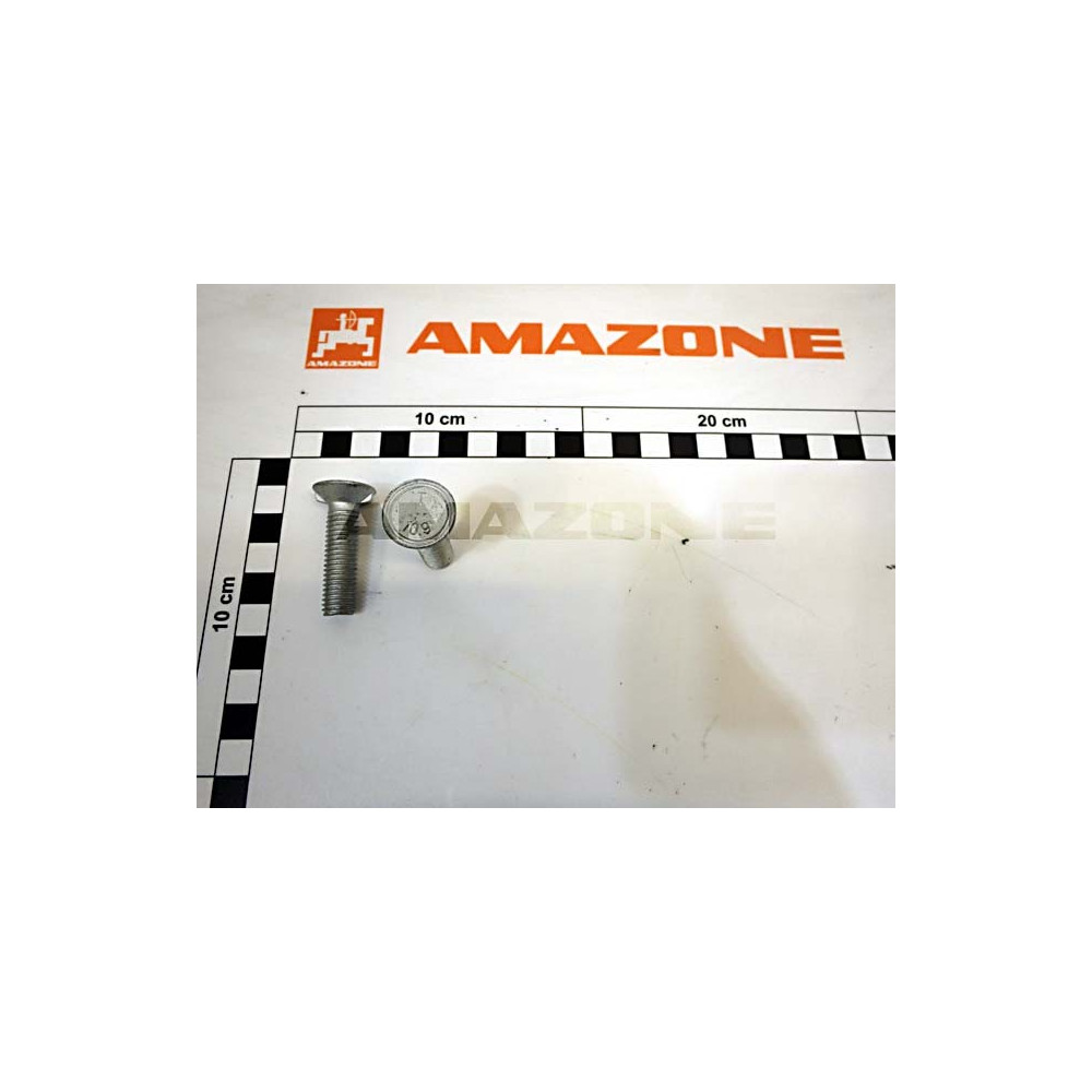 Vis 10 X 40 10.9 VN545955 Amazone