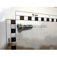 Vis M10X30 10.9 VZ DIN 6912 Réf. VN560040 - AMAZONE