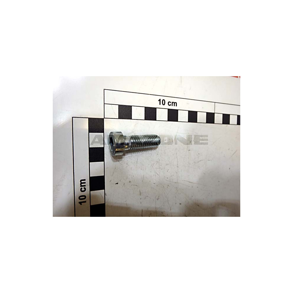 Vis M10X30 10.9 VZ DIN 6912 VN560040 Amazone