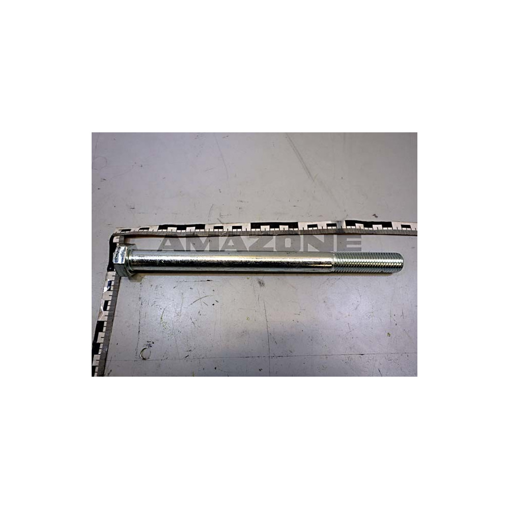 Vis M20X260 8.8 VZ VN581850 Amazone