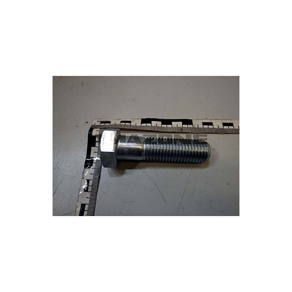 Vis M 20 X 75 VN580400 Amazone