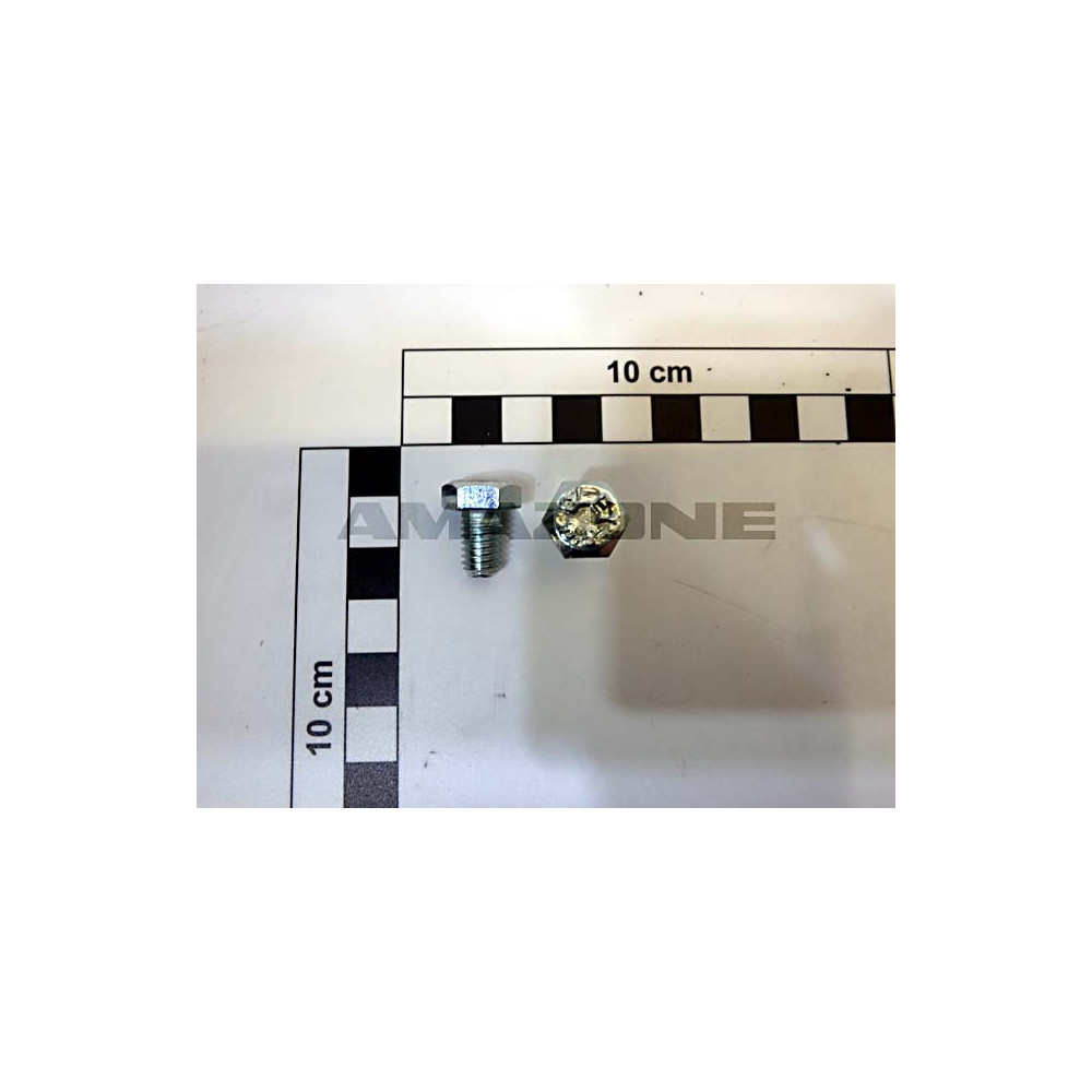 Vis M8X8 8.8 VN594680 Amazone