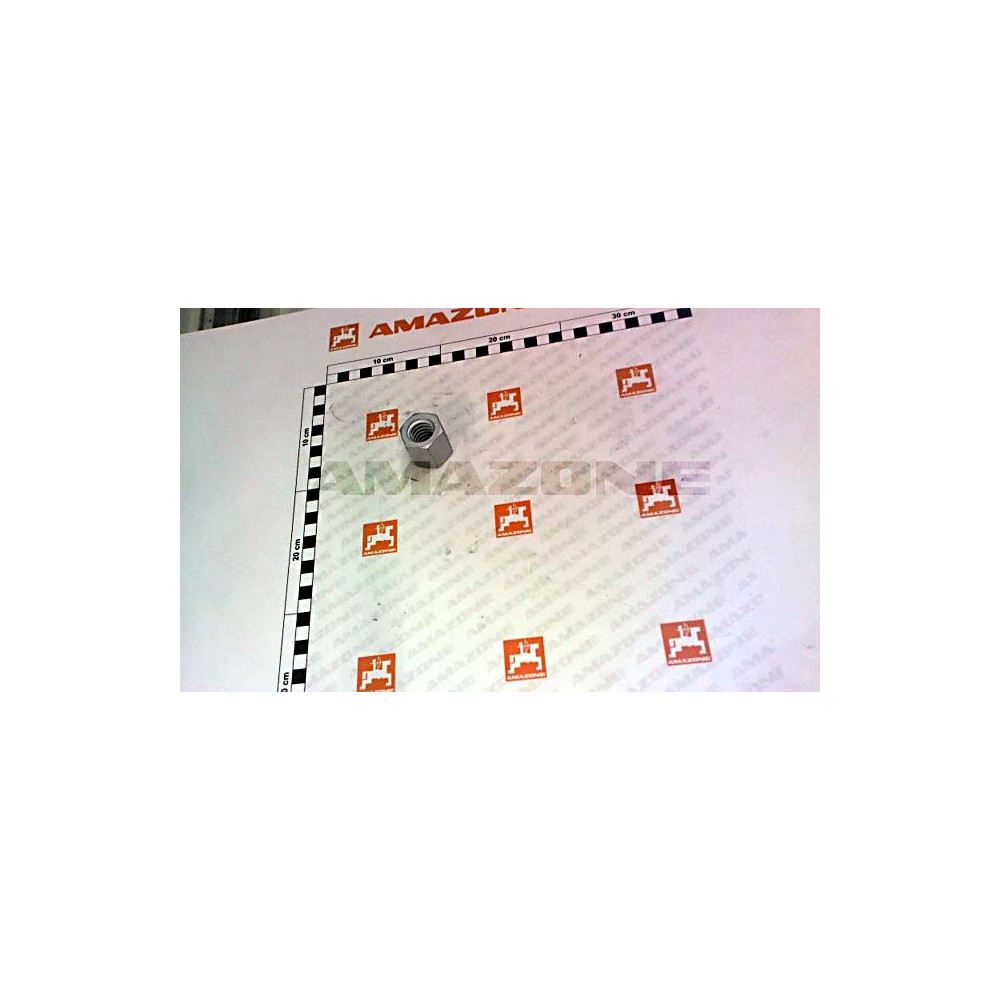Ecrou 20 X 4 VN681110 Amazone