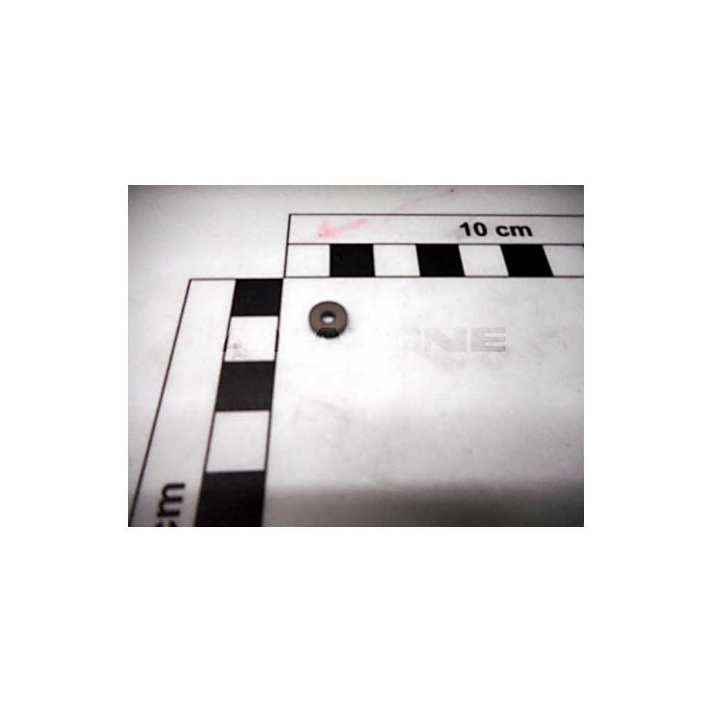 Pastille calibre VNA1400015 Amazone