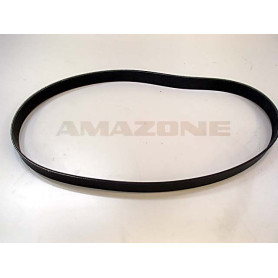 Courroie PPE EAU alternat. pantera Y01183376 Amazone