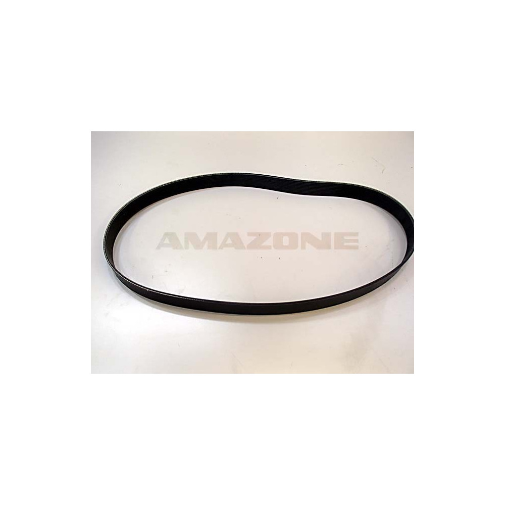 Courroie PPE EAU alternat. pantera Y01183376 Amazone