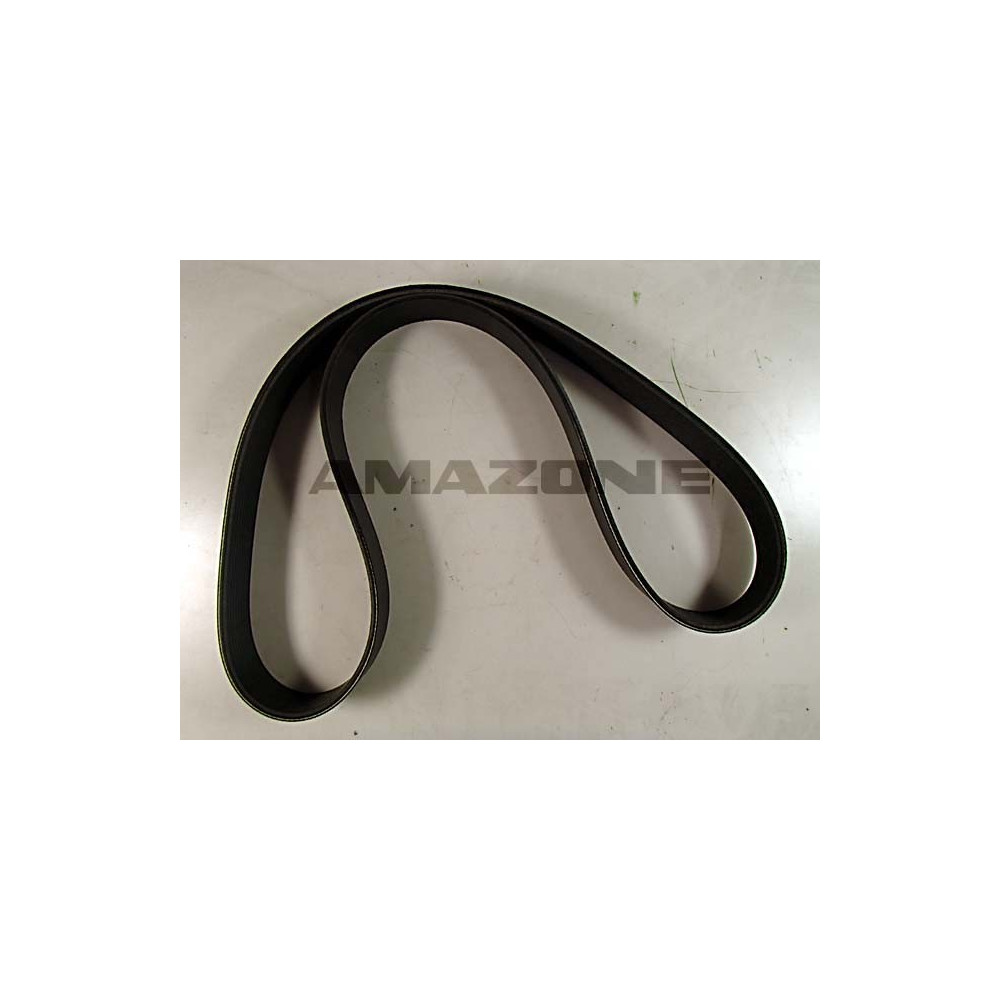 Courroie alt. pantera Y01183382 Amazone