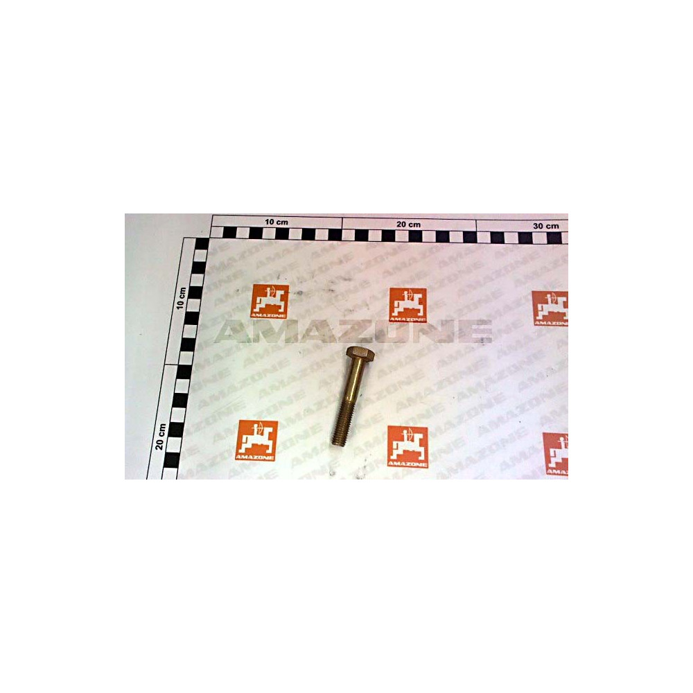Vis 6KT Y0250214680 Amazone