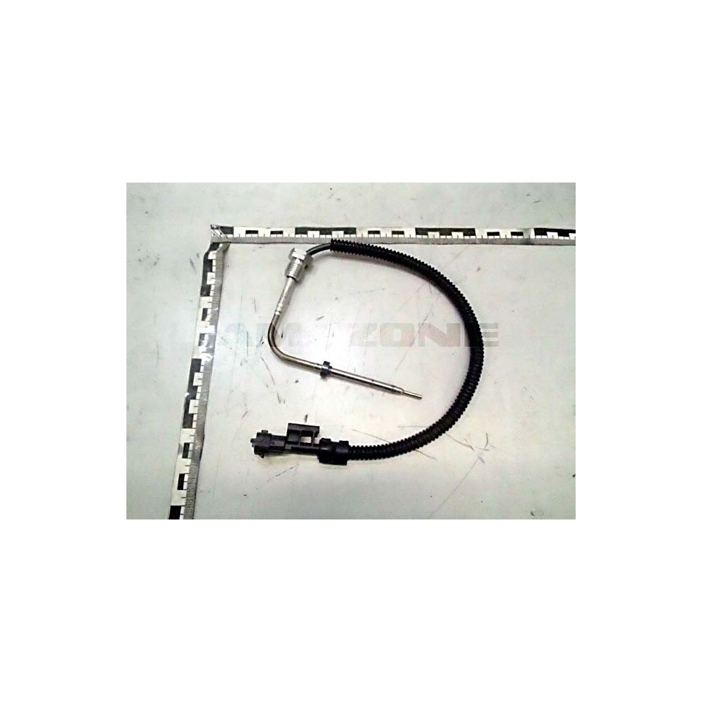 Sonde de temperature Y04216425 Amazone