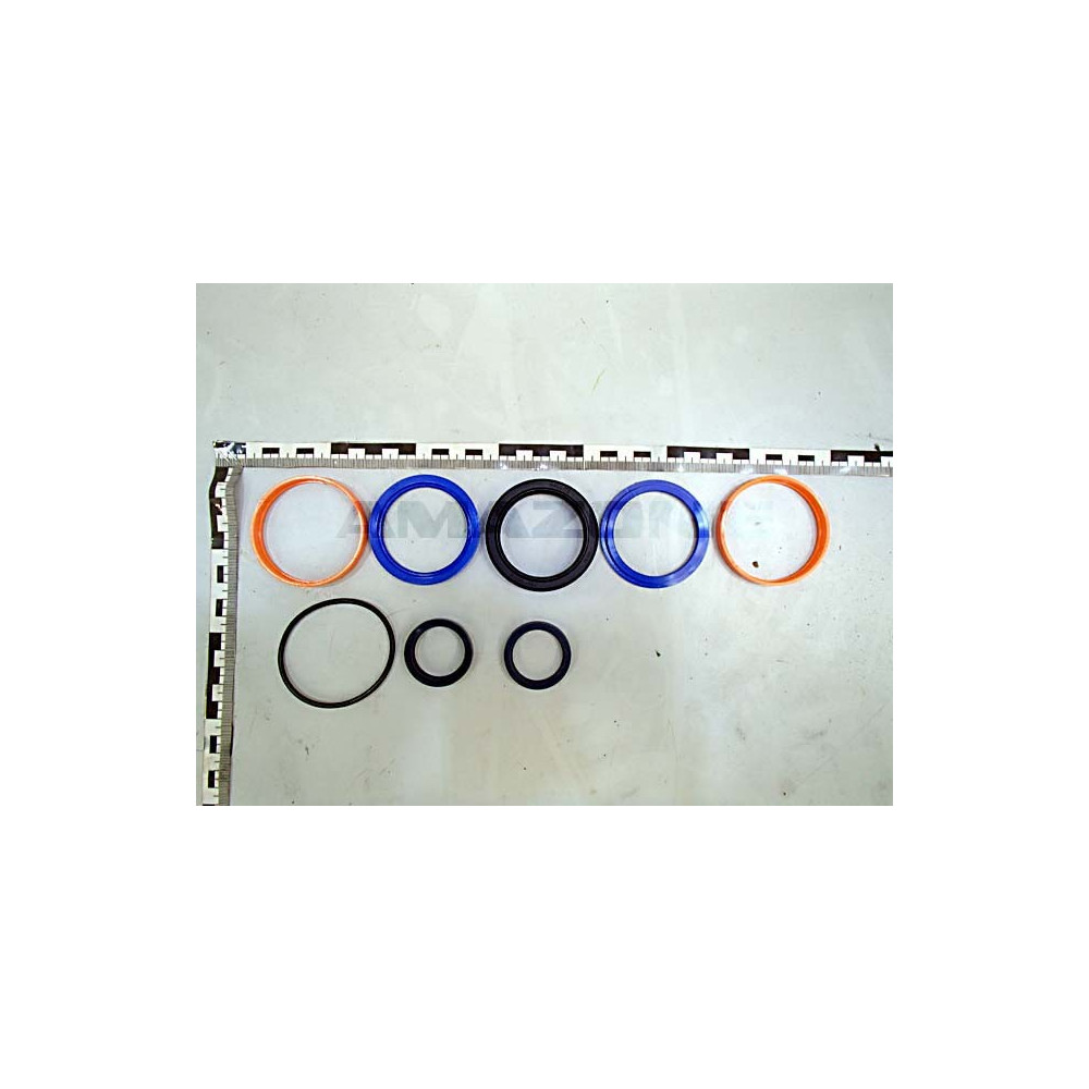 Jeu de joints cylindre essieu UX Y0966652590 Amazone