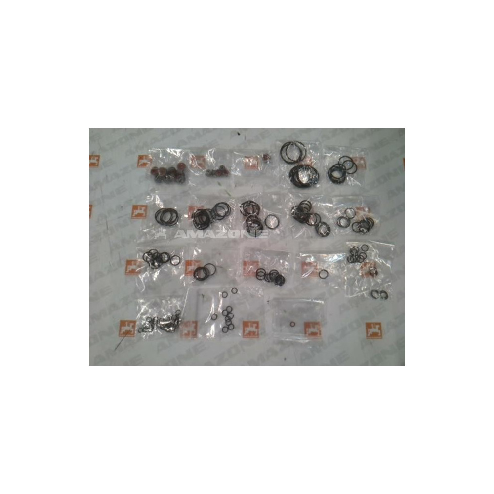 Jeux de joints Y100132739 Amazone