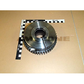 Planetaire Y1012494 Amazone