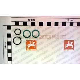 Jeux de JTS PAN Y1018154 Amazone