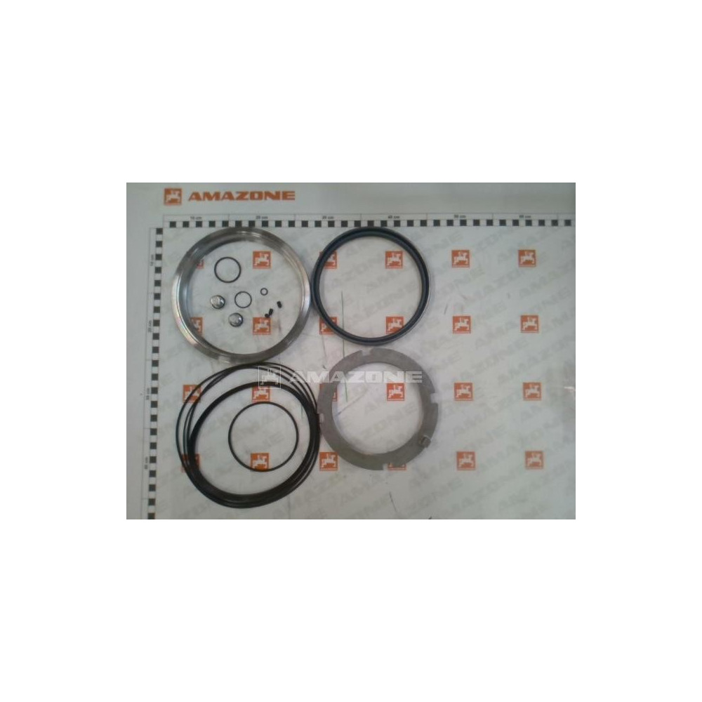 Kit joint moteur de roue Y1168397 Amazone