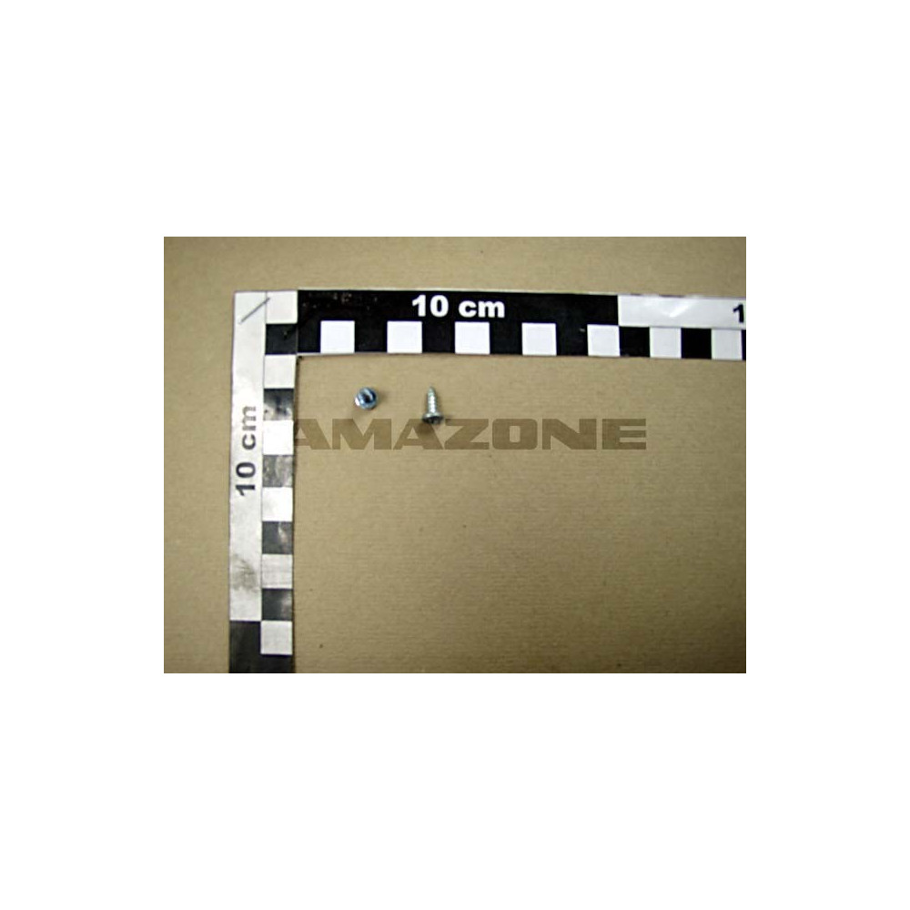 Vis de fixation Y123621 Amazone
