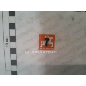 Vis 3.5 X 13 Y2171651 Amazone