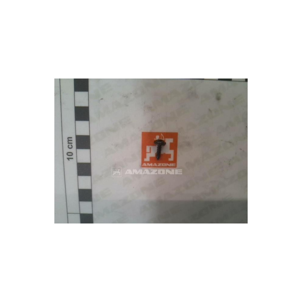 Vis 3.5 X 13 Y2171651 Amazone