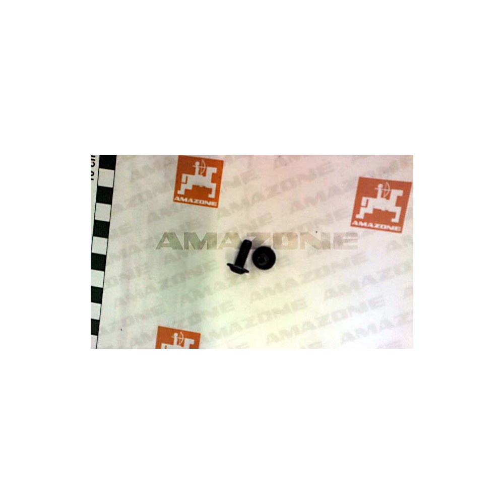 Vis de fixation Y2172900 Amazone