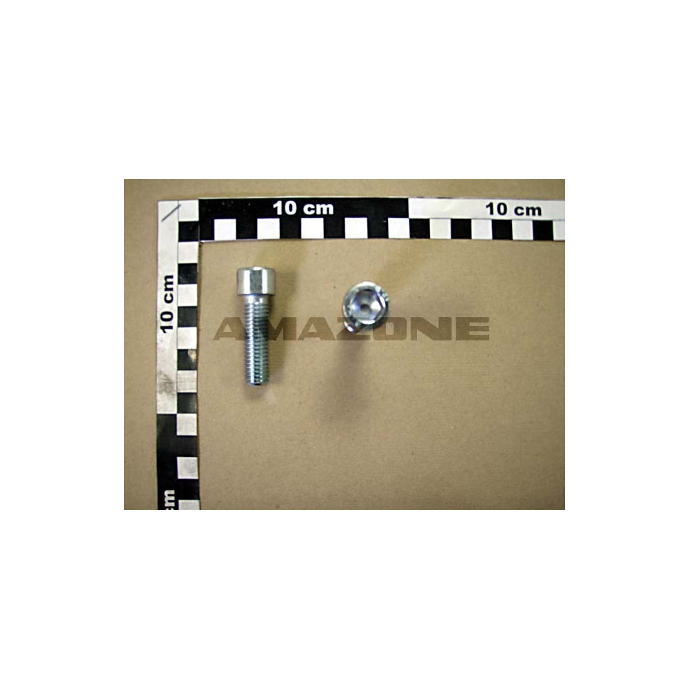 Vis 12X 40x1.75 4762 12.9 Y303024400 Amazone
