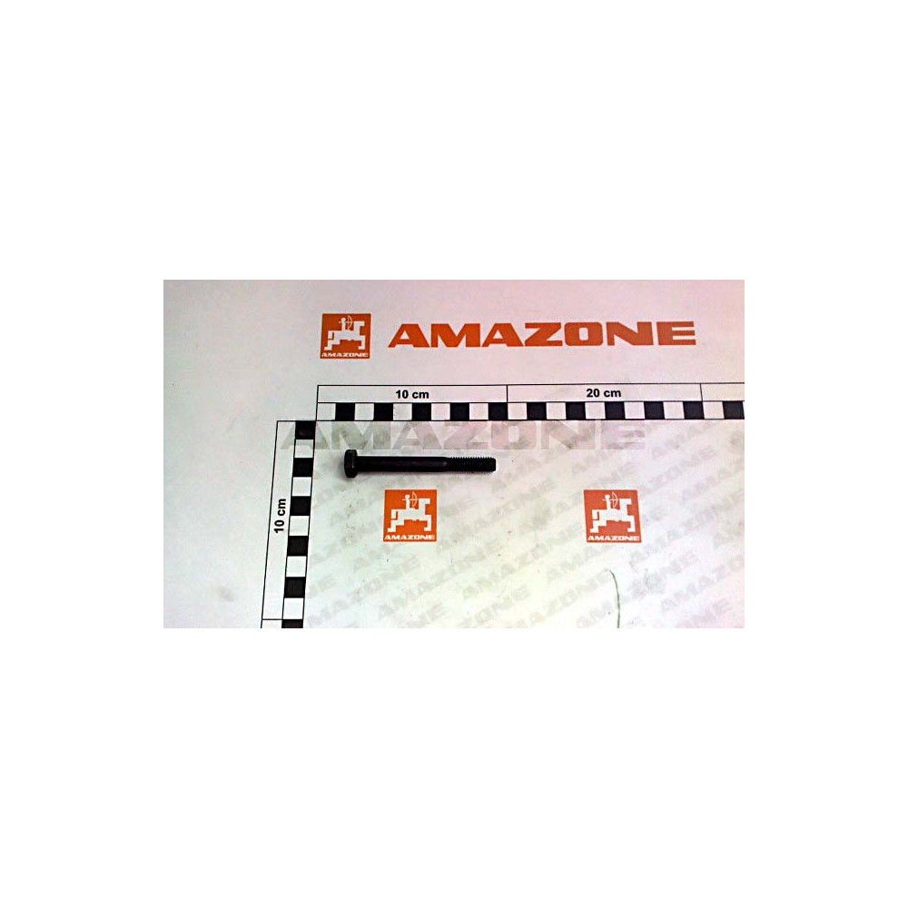Vis 12X80 transmission EJ630 Y317056200 Amazone