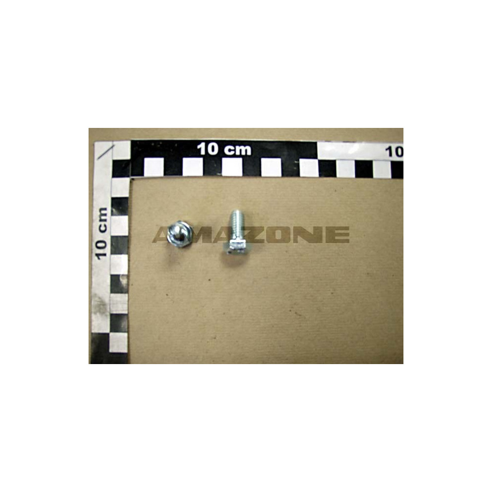  VIS 8X25 PAS1.25   KG Réf. Y319005220 AMAZONE